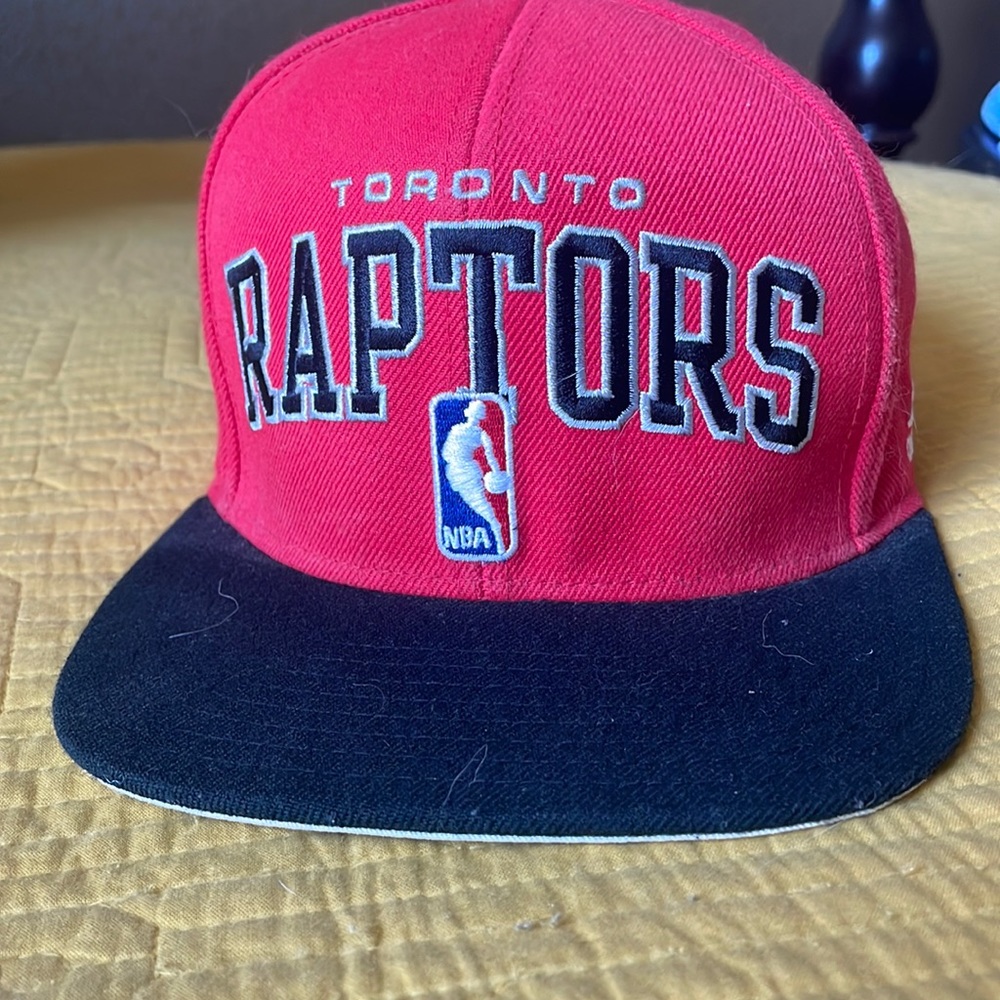 Toronto Raptors hat